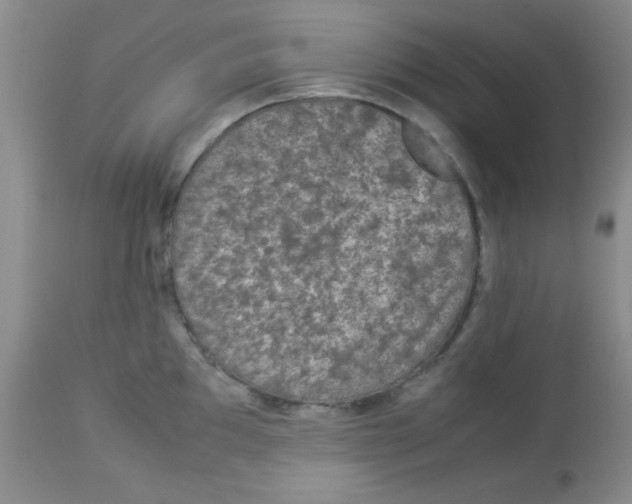 X0000113951097200910232001