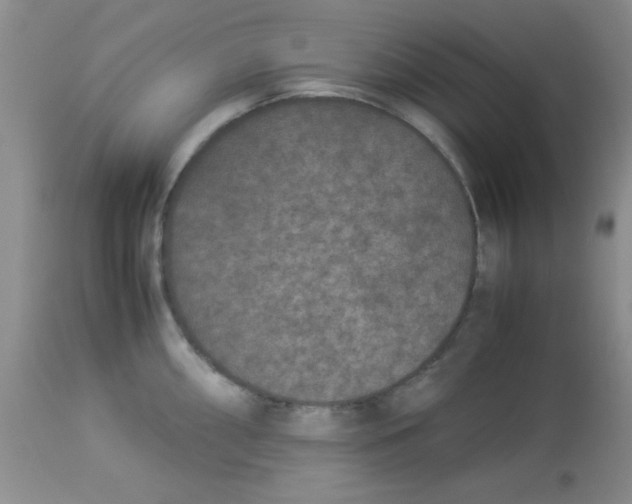 X0000113951098200910232001