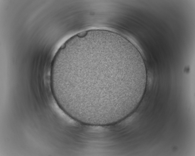 X0000113951100200910232001