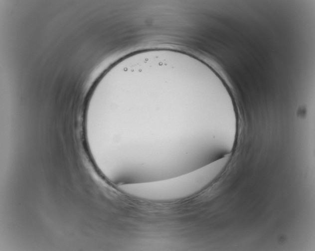 X0000113951101200910232001