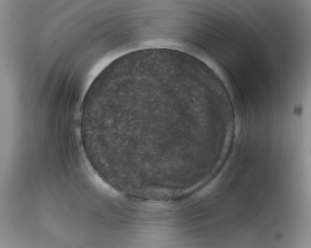 X0000113951102200910232001