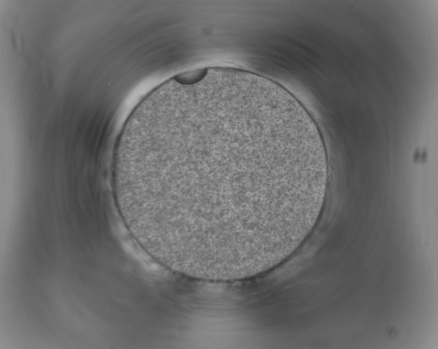 X0000113951104200910232001