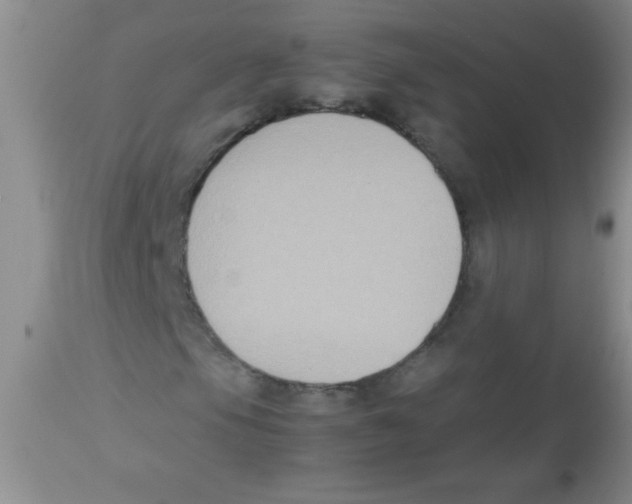 X0000113951105200910232000