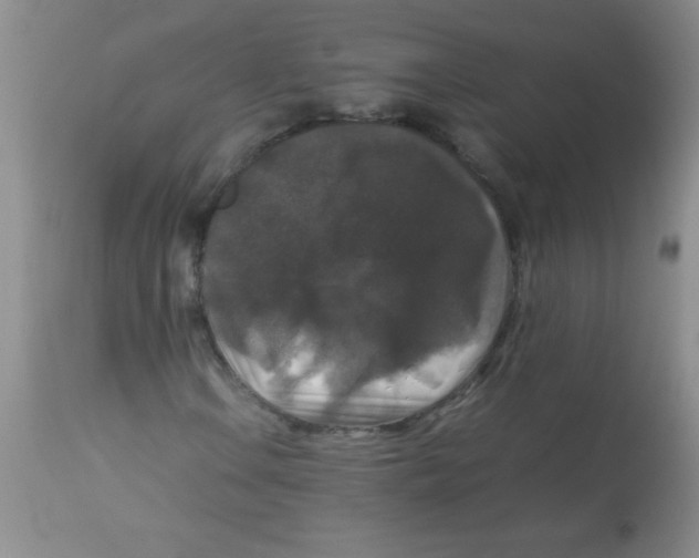 X0000113951106200910232000