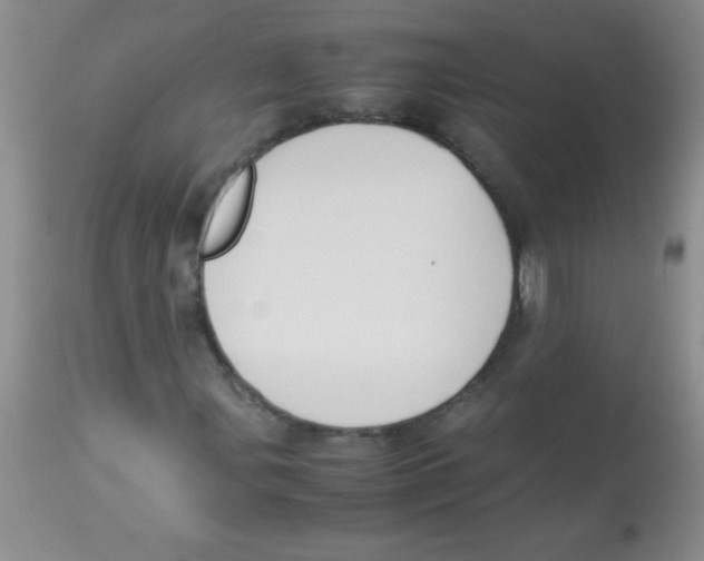 X0000113951107200910232000