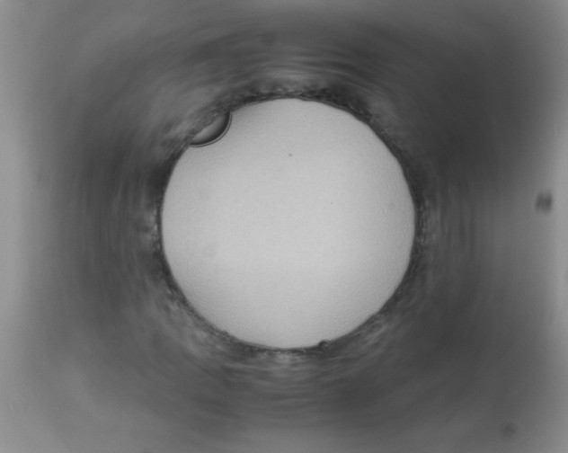 X0000113951109200910232000