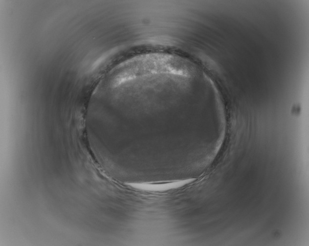 X0000113951110200910232000