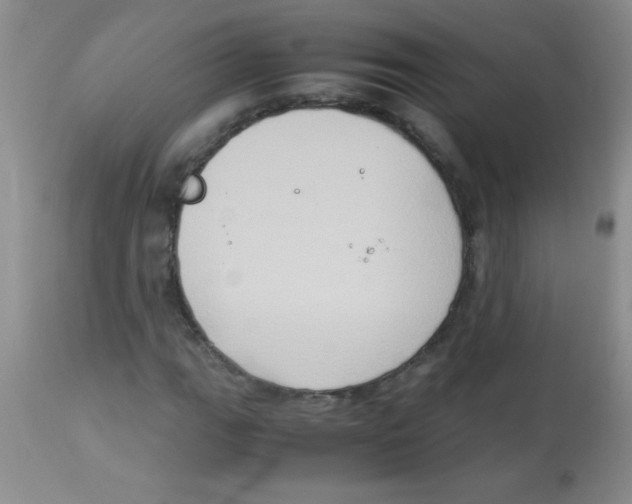 X0000113951111200910232000
