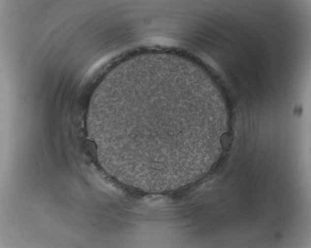 X0000113951112200910232000
