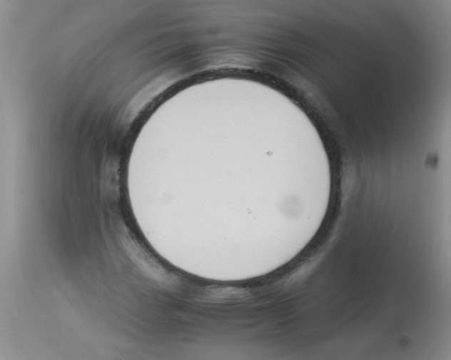 X0000113951113200910232000