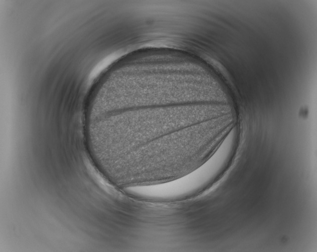 X0000113951114200910232000