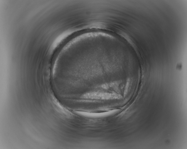 X0000113951115200910232000