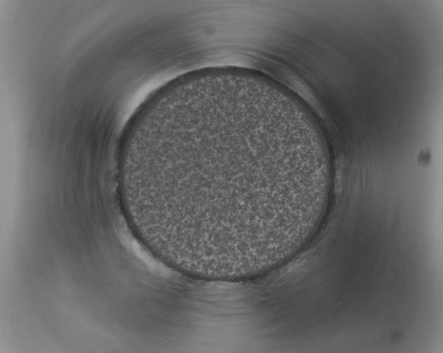 X0000113951116200910232000