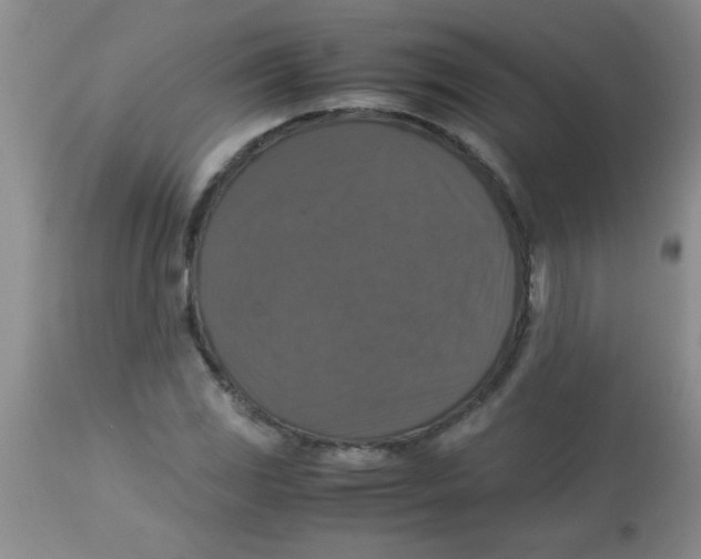 X0000113951117200910232000