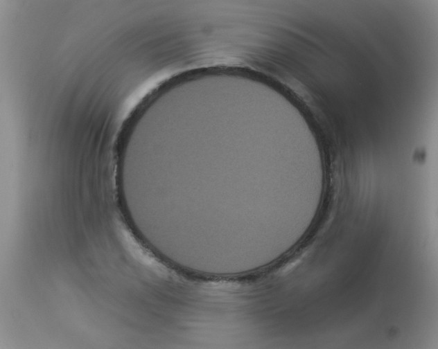 X0000113951118200910232000