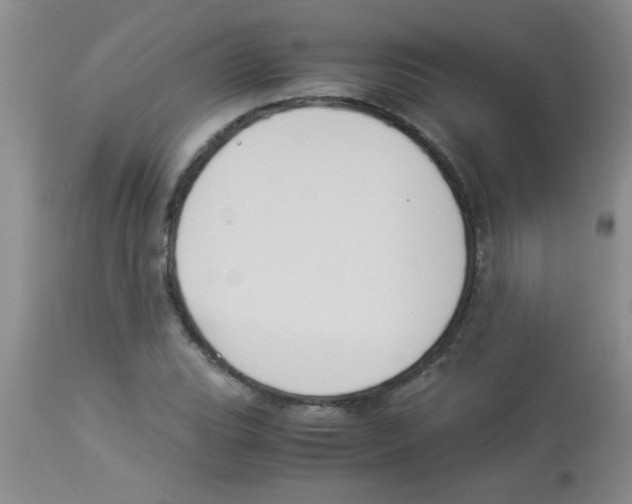 X0000113951119200910232000