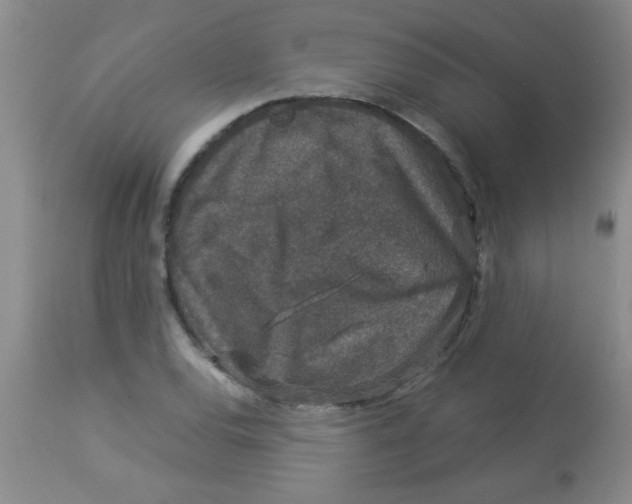 X0000113951120200910232000