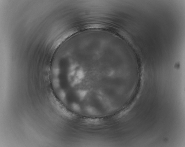 X0000113951121200910232000