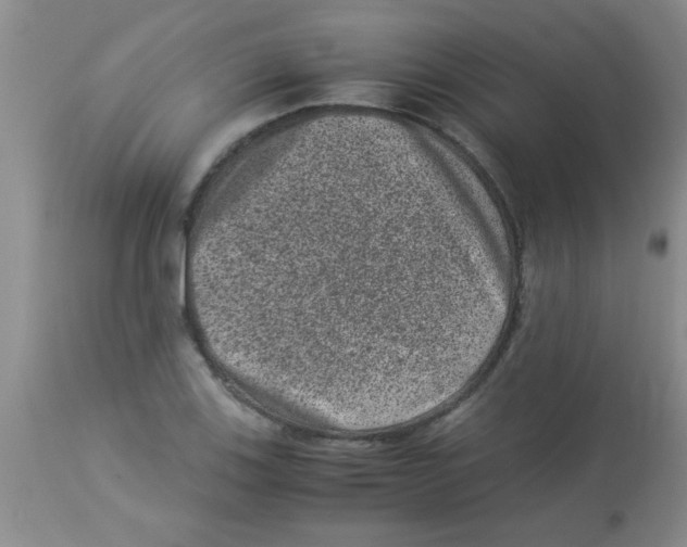 X0000113951123200910232000