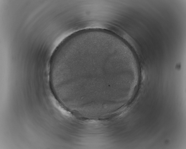 X0000113951124200910232000