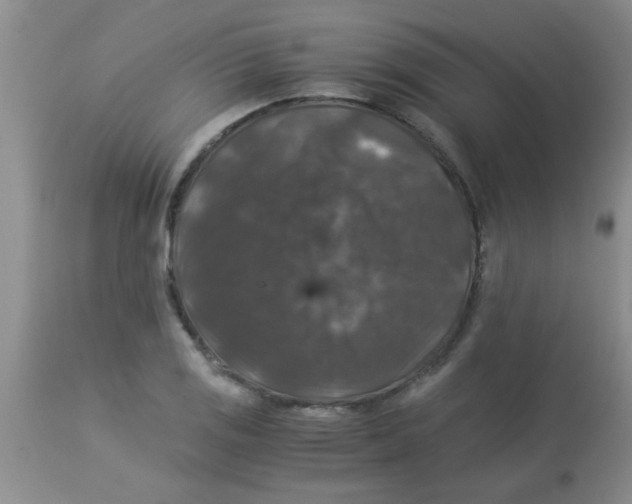 X0000113951125200910232000