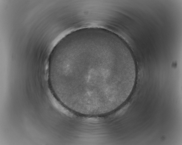 X0000113951126200910232000