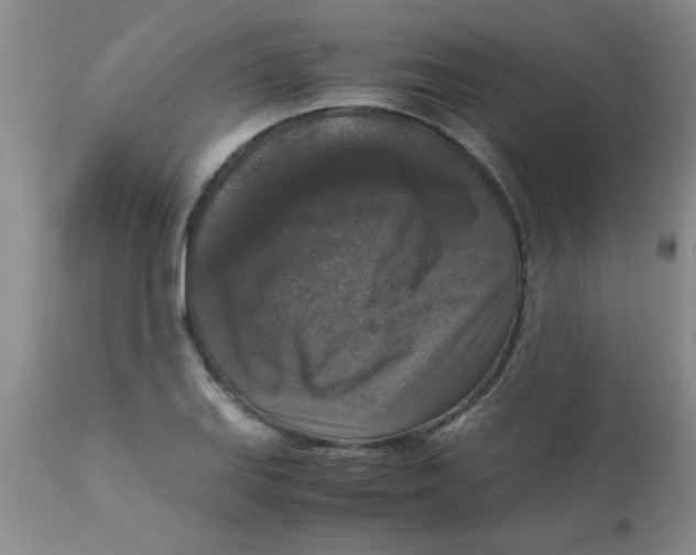 X0000113951127200910232000