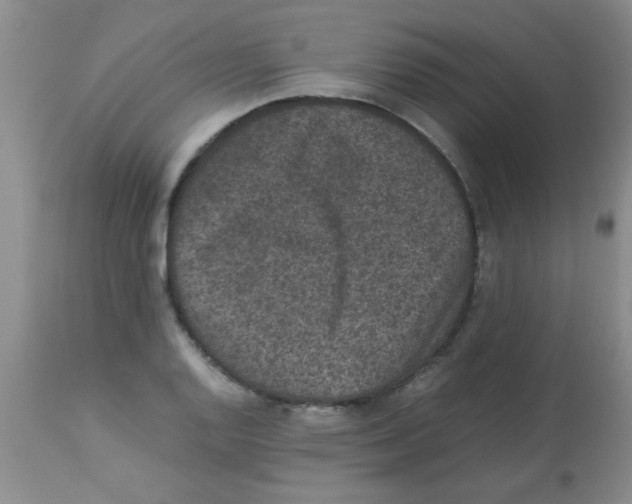 X0000113951128200910232000