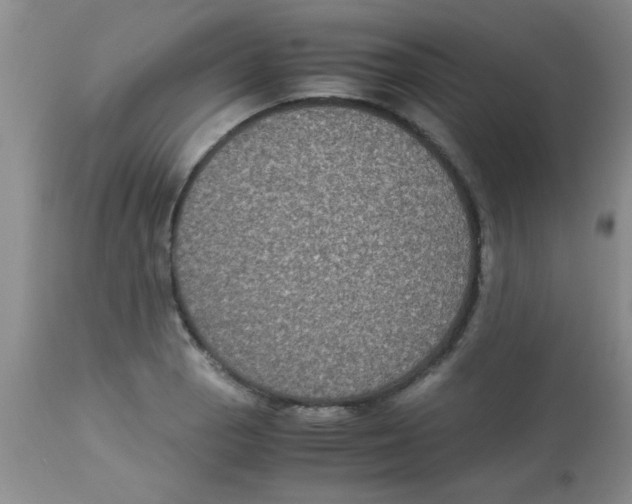 X0000113951129200910232000