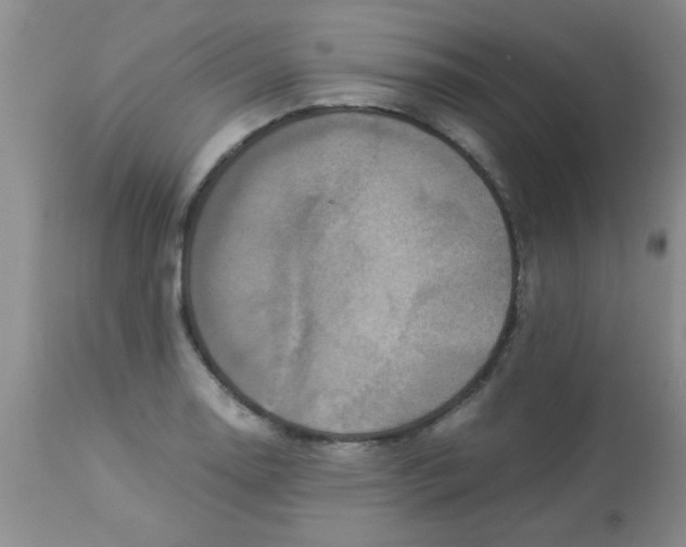 X0000113951130200910232000