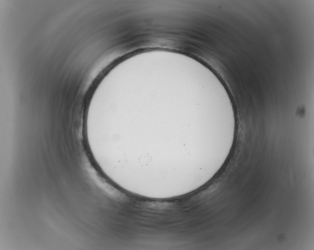 X0000113951131200910232000