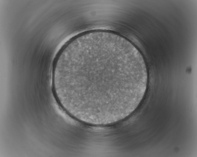 X0000113951132200910232000