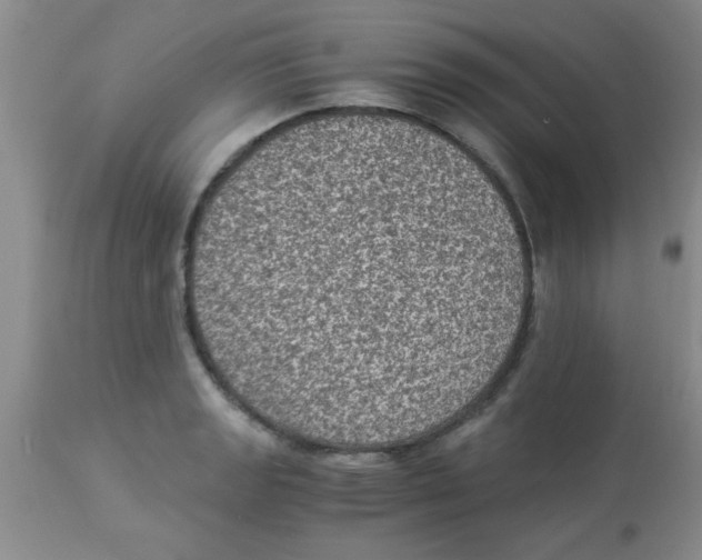 X0000113951133200910232000