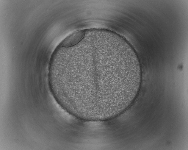 X0000113951134200910232000