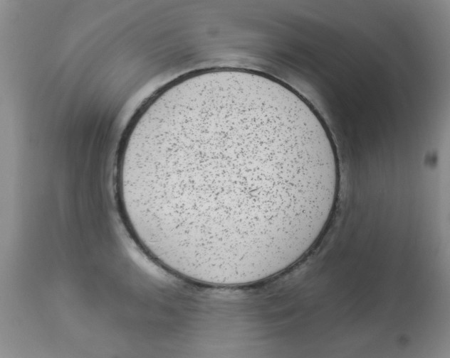 X0000113951136200910232000