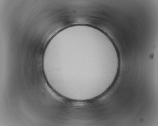 X0000113951137200910232000