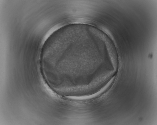 X0000113951138200910232000