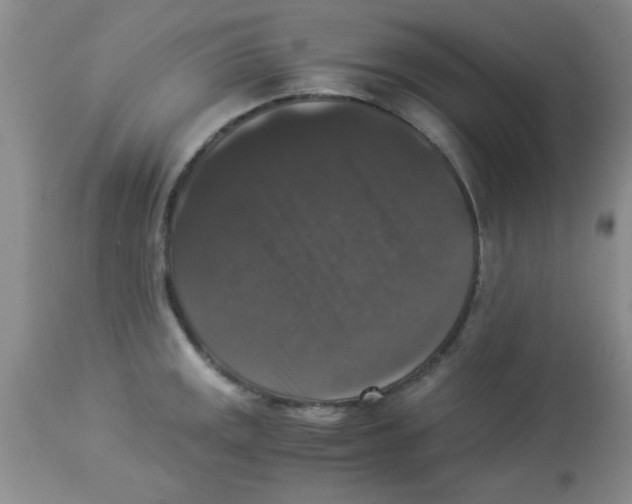 X0000113951141200910232000
