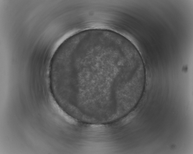 X0000113951142200910232000