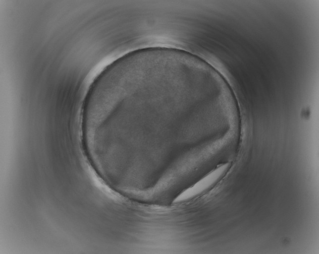 X0000113951144200910232000