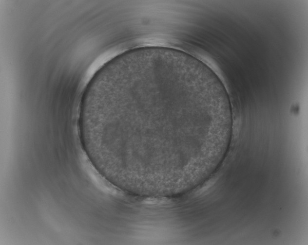 X0000113951146200910232000