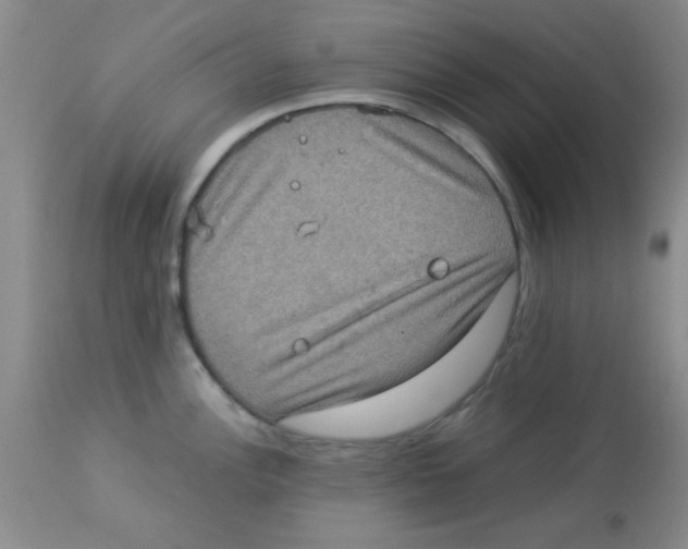 X0000113951148200910232000