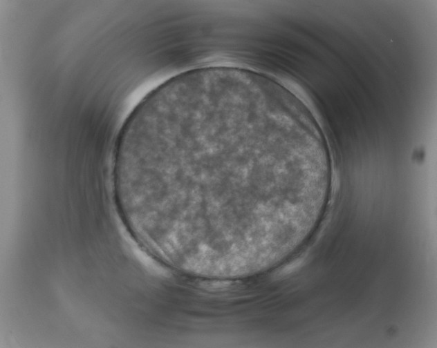 X0000113951149200910232001