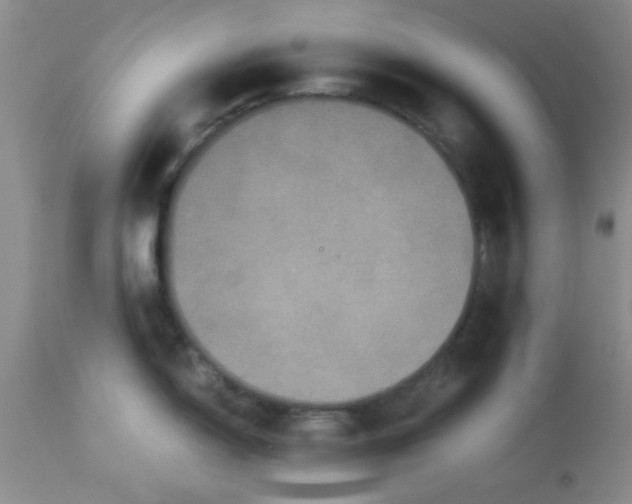 X0000113951150200910232001