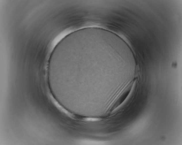 X0000113951151200910232001