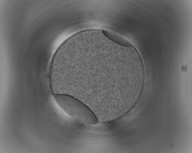X0000113951152200910232001