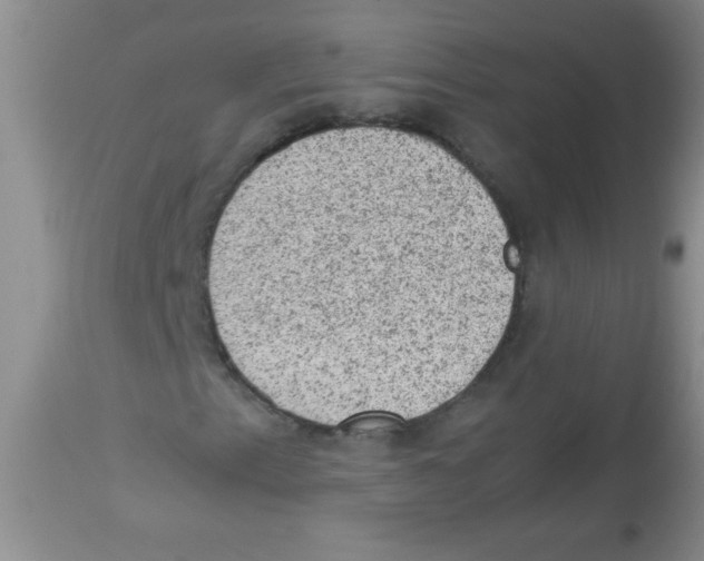 X0000113951153200910232000