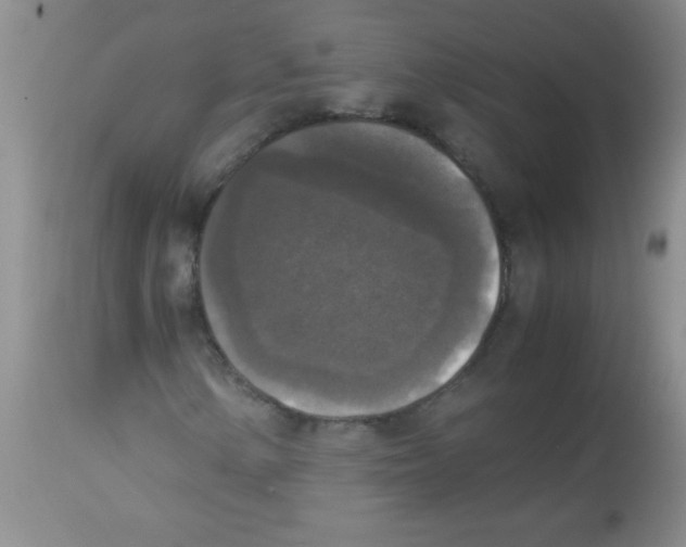 X0000113951154200910232000