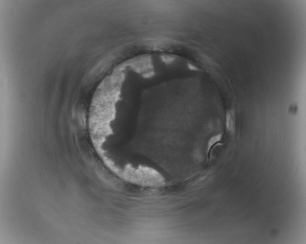 X0000113951155200910232000