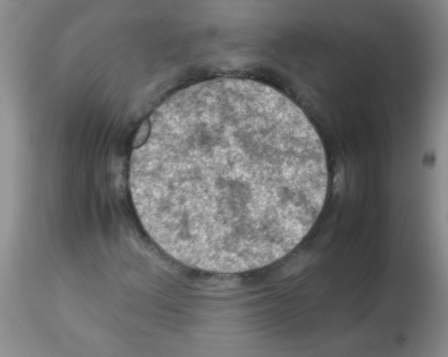X0000113951156200910232000